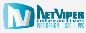 Net Viper Interactive